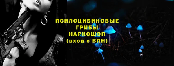 прущие грибы Покачи