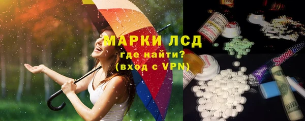 прущие грибы Покачи