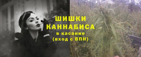 прущие грибы Покачи