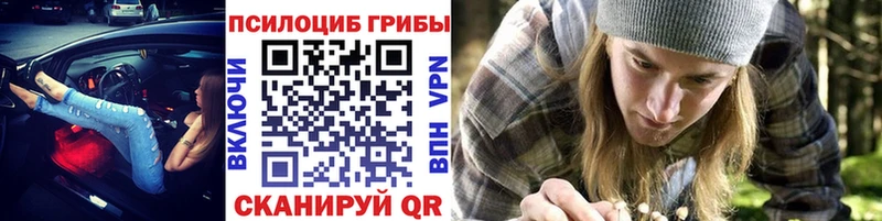 Псилоцибиновые грибы Cubensis  KRAKEN рабочий сайт  Устюжна  где можно купить  